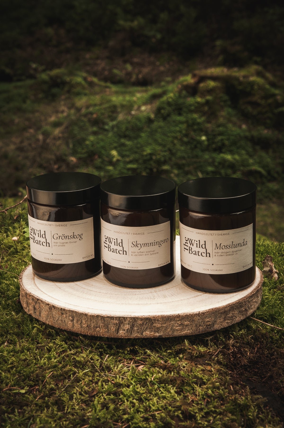 Stämningsfull skogsmiljo med trio av The Wild Batch doftljus Grönskog, Skymningsro och Mosslunda